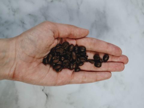 This image shows a close-up of a person&amp;#39;s hand holding a small handful of dark roasted coffee beans. The background is a smooth, light-colored marble surface, which contrasts nicely with the rich brown color of the beans. The focus highlights the texture and shine of the coffee beans, emphasizing their freshness and quality.