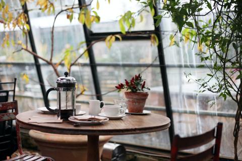 This image shows a peaceful, cozy cafe setting inside a greenhouse or sunroom with large glass windows. A round wooden table holds a French press, a cup of coffee, a plate, and a small potted plant with red flowers. The natural light and surrounding greenery create a calm, inviting atmosphere perfect for relaxing or enjoying a quiet coffee break.